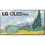 LG 樂金 OLED55G1PCA 55吋 4K OLED 智能電視 G1