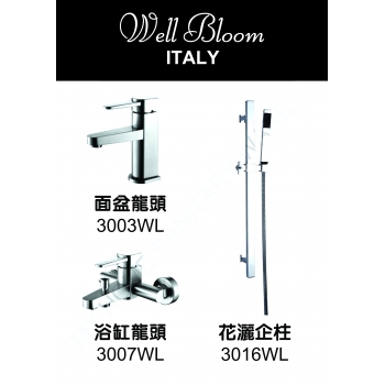 Well Bloom Italy 300WL 不銹鋼拉絲龍頭套裝