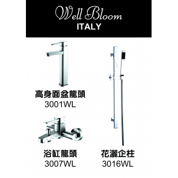 Well Bloom Italy 300WL2 不銹鋼拉絲龍頭套裝