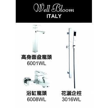 Well Bloom Italy 600WL2 不銹鋼拉絲龍頭套裝