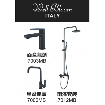 Well Bloom Italy 700MBR 純黑龍頭連雨淋套裝