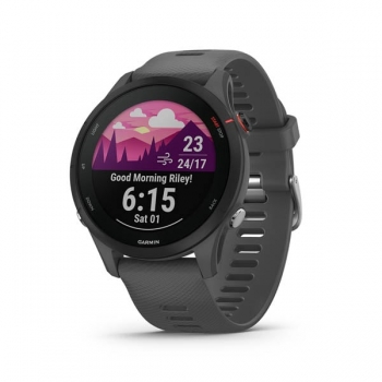 Garmin 010-02641-43 Forerunner 255 智能運動手錶 (灰色)