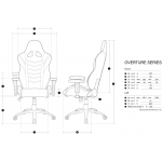 AKRacing CHRAK-OVERTURE-BY Overture 人體工學高背電競椅 (黃色)