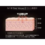 Artisic & Co Miss Arrivo 316-70-00004-1 The Vegas II 多功能面部美容儀